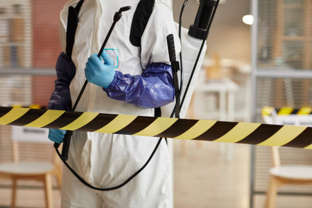 Professional Hoarding Cleanup technician working in Venus, TX